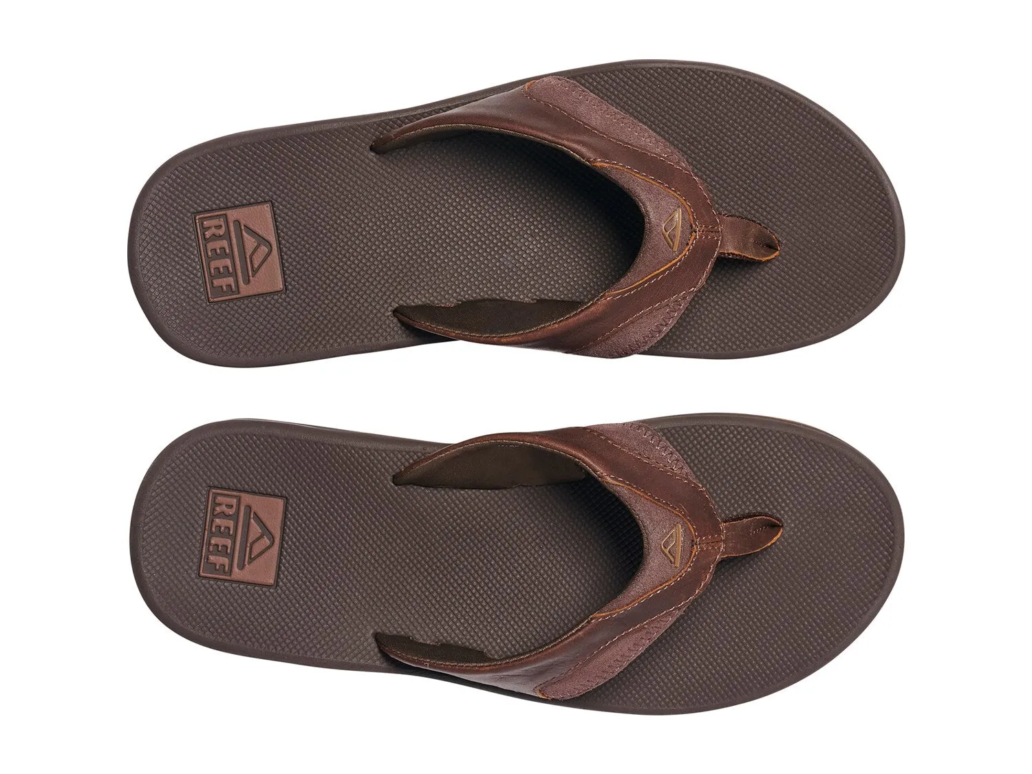 Fanning Reef slides, dark brown