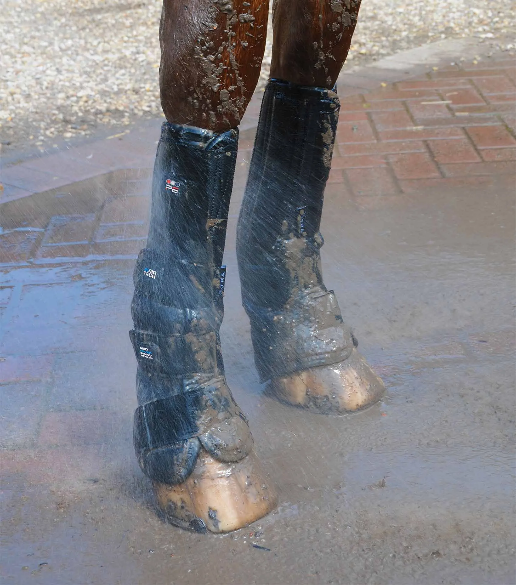 Turnout/ Mud Fever Boots