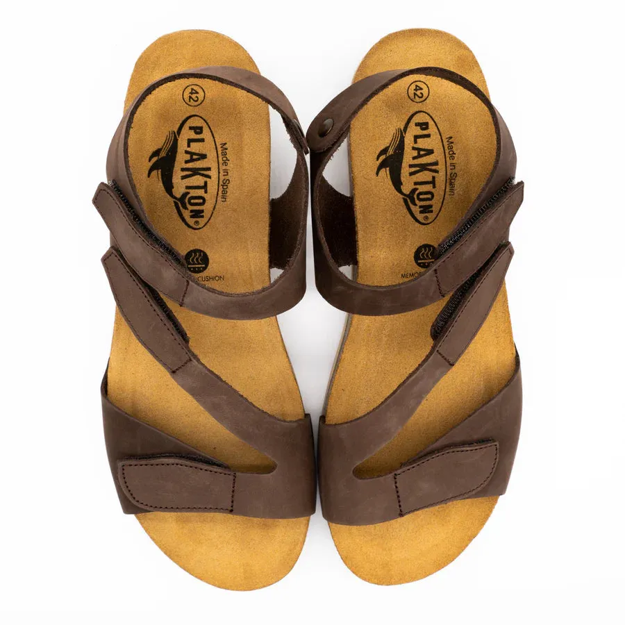 Women's Plakton Jane Color: Brown